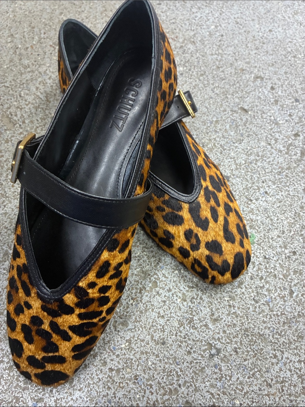 SCHUTZ Leopard-Print Mary Jane Flats with Black Strap and Gold Buckle